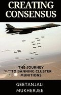 Creating Consensus: The Journey Towards Banning Cluster Munitions