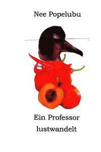 Nee Popelubu - Ein Professor lustwandelt, Häftad. Tillgänglighet: Lägg i varukorg