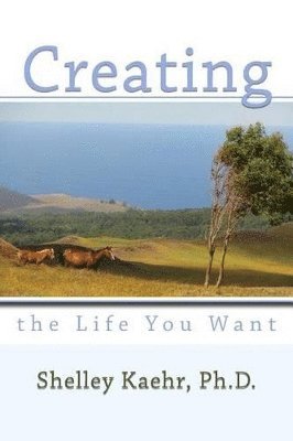 Shelley Kaehr - Creating the Life You Want, Häftad. Tillgänglighet: Lägg i varukorg
