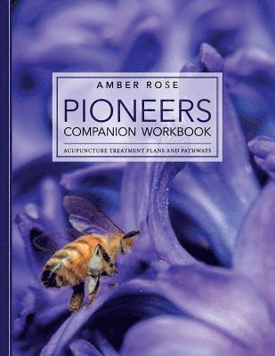 Amber Rose - Pioneers Companion Workbook: Acupuncture Treatment Plans and Pathways, Häftad. Tillgänglighet: Lägg i varukorg