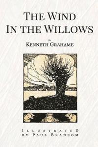 Kenneth Grahame - The Wind In the Willows: Illustrated, Häftad. Tillgänglighet: Lägg i varukorg