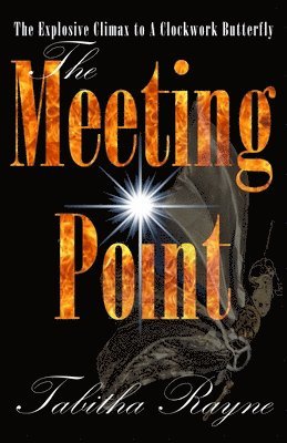 Tabitha Rayne - Meeting Point, Häftad. Tillgänglighet: Lägg i varukorg