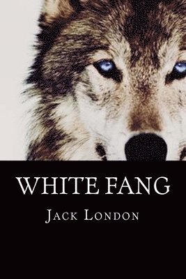 Jack London, 510 Classics - White Fang, Häftad. Tillgänglighet: Tillfälligt slut