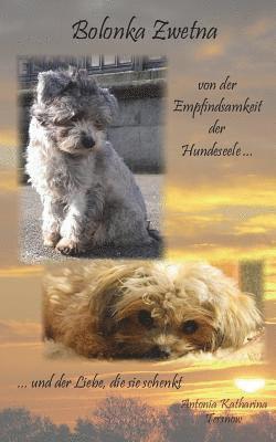 Antonia Katharina - Bolonka Zwetna: von der Empfindsamkeit der Hundeseele und der Liebe, die sie schenkt, Häftad