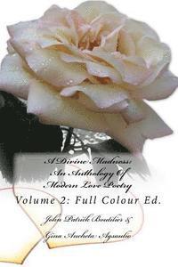 Gina Ancheta Agsaulio, John Patrick Boutilier - A Divine Madness: An Anthology Of Modern Love Poetry: Volume 2: Full Colour Ed., Häftad. Tillgänglighet: Lägg i varukorg
