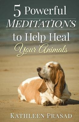 Kathleen Prasad - 5 Powerful Meditations to Help Heal Your Animals, Häftad. Tillgänglighet: Lägg i varukorg