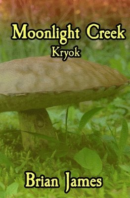 Brian James Petty II, Brian James - Moonlight Creek Kryok, Häftad