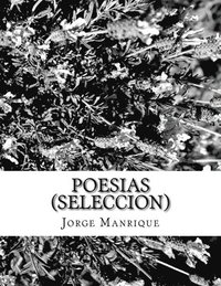 poesias (seleccion)