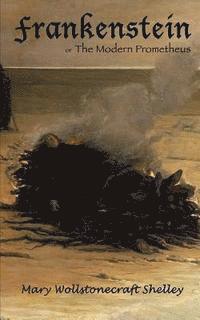 John Daily, Mary Wollstonecraft Shelley - Frankenstein or The Modern Prometheus: Code Keepers - Secret Personal Diary, Häftad. Tillgänglighet: Lägg i varukorg