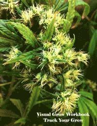 J. Reagan - Visual Grow Workbook, Häftad. Tillgänglighet: Lägg i varukorg