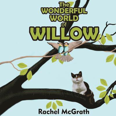 Rachel McGrath - The Wonderful World of Willow, Häftad. Tillgänglighet: Lägg i varukorg
