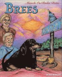 Anne Hunt - Brees - Miracle On Rader Drive: How A Loving Black And Tan Thoroughbred Dachshund Filly Named Brees Changed The Lives Of Her Mom And Dad, Häftad