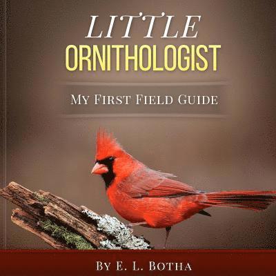 Little Ornithologist