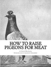 Alice MacLeod - How To Raise Pigeons For Meat: Raising Pigeons for Squabs Book 10, Häftad. Tillgänglighet: Lägg i varukorg