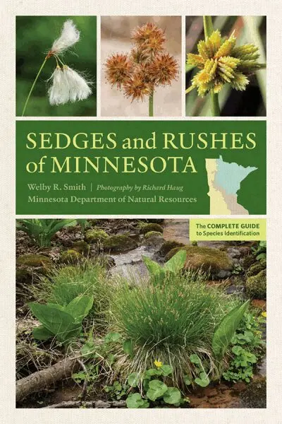 Welby R. Smith - Sedges and Rushes of Minnesota, Häftad. Tillgänglighet: Lägg i varukorg
