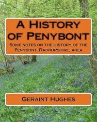 Geraint Hughes - A History of Penybont: Some notes on the history of the Penybont, Radnorshire, area, Häftad. Tillgänglighet: Lägg i varukorg