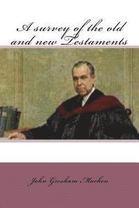 John Gresham Machen - A survey of the old and new testaments, Häftad. Tillgänglighet: Lägg i varukorg