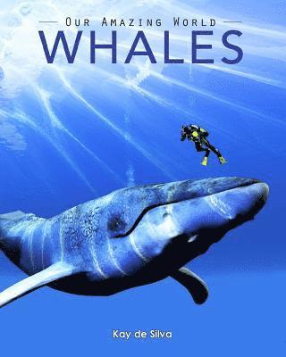 Kay De Silva - Whales: Amazing Pictures & Fun Facts on Animals in Nature, Häftad. Tillgänglighet: Lägg i varukorg