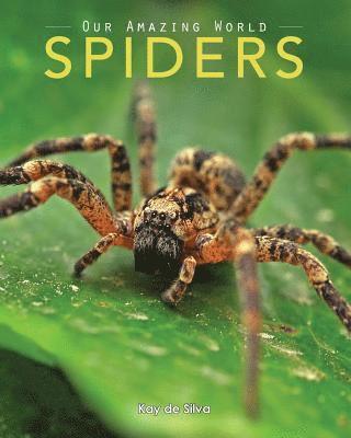 Kay De Silva - Spiders: Amazing Pictures & Fun Facts on Animals in Nature, Häftad. Tillgänglighet: Lägg i varukorg