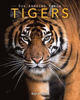 Kay De Silva - Tigers: Amazing Pictures & Fun Facts on Animals in Nature, Häftad. Tillgänglighet: Lägg i varukorg