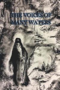 Elizabeth Allen, Mary Cook - The Voices of Many Waters, Häftad. Tillgänglighet: Lägg i varukorg