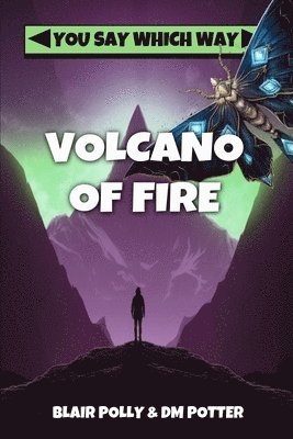 DM Potter, Blair Polly - Volcano of Fire, Häftad