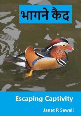 Janet R. Sewell, Nathan R. Sewell - Escaping Captivity: A Simple Guide to Becoming Whole in Christ, Häftad. Tillgänglighet: Lägg i varukorg