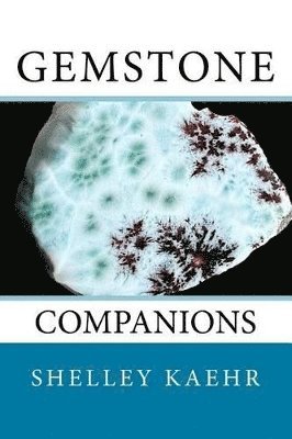 Shelley Kaehr - Gemstone Companions, Häftad. Tillgänglighet: Lägg i varukorg