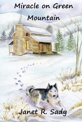 Janet R. Sady - Miracle on Green Mountain, Häftad. Tillgänglighet: Lägg i varukorg