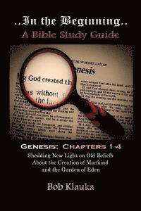Robert W. Klauka, Mary Jo Stresky - In the beginning: Shedding New Light on Old Beliefs About the Creation of Mankind and the Garden of Eden, Häftad