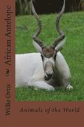 African Antelope: Animals of the World