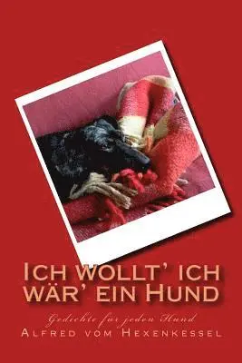 Alfred Vom Hexenkessel, Angelika Stucke - Ich wollt' ich wär' ein Hund: Gedichte für jeden Hund, Häftad. Tillgänglighet: Lägg i varukorg
