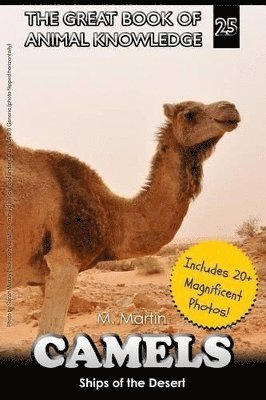 M Martin - Camels, Häftad. Tillgänglighet: Lägg i varukorg