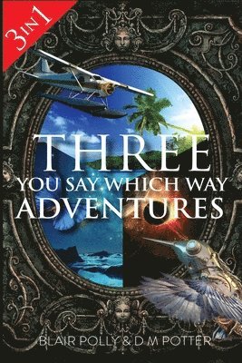 DM Potter, Blair Polly - Three You Say Which Way Adventures, Häftad