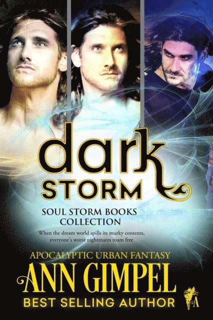 Ann Gimpel - Dark Storm, Soul Storm Books Collection, E-bok