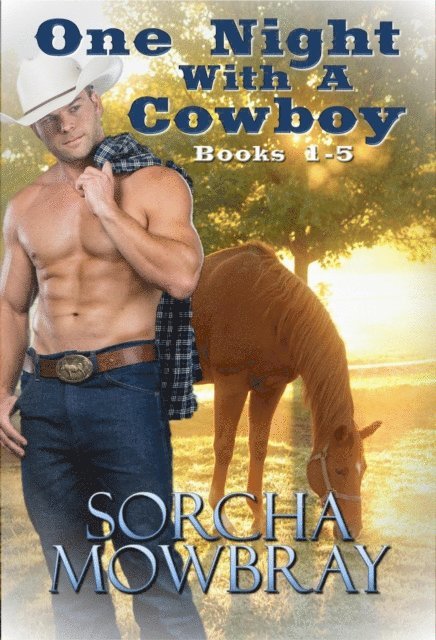 Sorcha Mowbray - One Night With A Cowboy (Books 1-5), E-bok