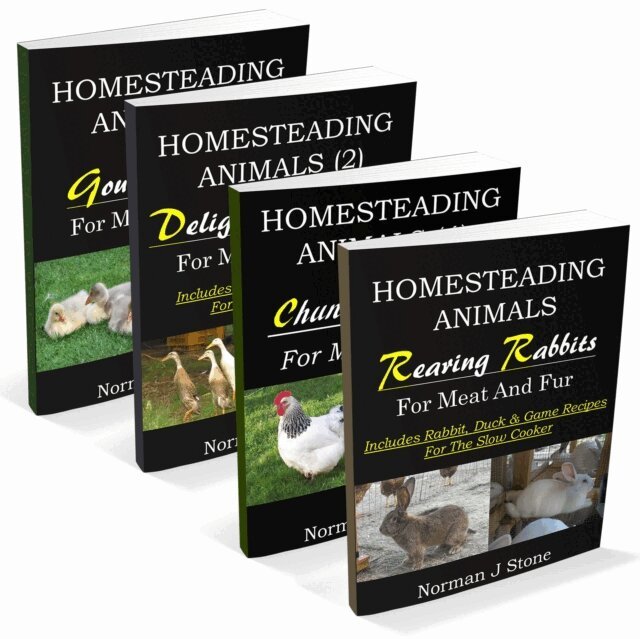 Norman J Stone - Homesteading Animals 4-Book Bundle: Rearing Rabbits, Chickens, Ducks & Geese: A Comprehensive Introduction To Raising Popular Farmyard Animals, E-bok