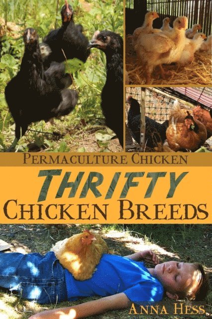 Anna Hess - Thrifty Chicken Breeds: Efficient Producers of Eggs and Meat on the Homestead, E-bok