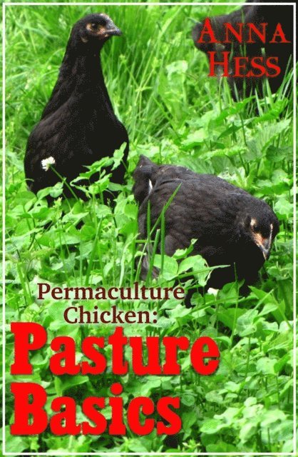 Anna Hess - Pasture Basics, E-bok