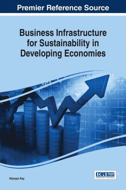 Nilanjan Ray - Business Infrastructure for Sustainability in Developing Economies, E-bok
