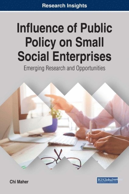 Chi Maher - Influence of Public Policy on Small Social Enterprises: Emerging Research and Opportunities, E-bok