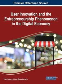 User Innovation and the Entrepreneurship Phenomenon in the Digital Economy