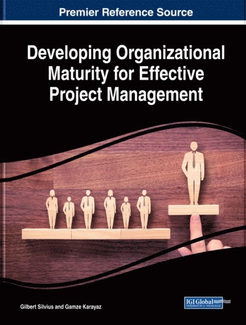 Gamze, Gilbert - Developing Organizational Maturity for Effective Project Management, E-bok