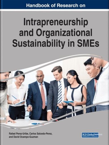 David, Carlos, Rafael - Handbook of Research on Intrapreneurship and Organizational Sustainability in SMEs, E-bok