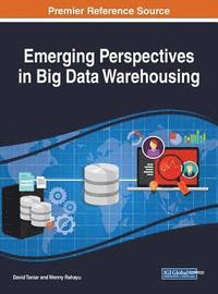 Emerging Perspectives in Big Data Warehousing