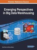 Emerging Perspectives in Big Data Warehousing