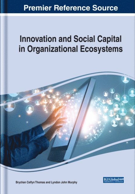 Lyndon John, Brychan Celfyn - Innovation and Social Capital in Organizational Ecosystems, E-bok