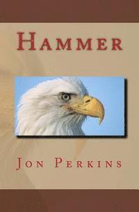 Jon Perkins - Hammer, Häftad. Tillgänglighet: Lägg i varukorg