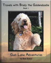 Bob Baker - Travels with Brody the Goldendoodle Book 1 Gull Lake Adventures: Travels with Brody the Goldendoodle Book 1 Gull Lake Adventures, Häftad. Tillgänglighet: Lägg i varukorg