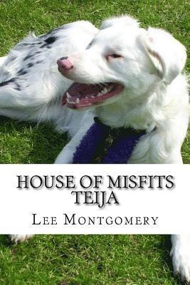 Lee Montgomery - House of Misfits - Teija: Border Collie born deaf and blind, Häftad. Tillgänglighet: Lägg i varukorg